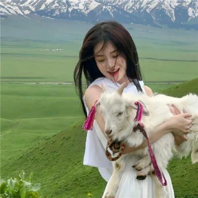 家，亲爱的家
